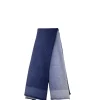Foulard, Sciarpe E Bandeau>Fendi Foulard
